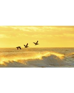 상품 명에 공간 있음